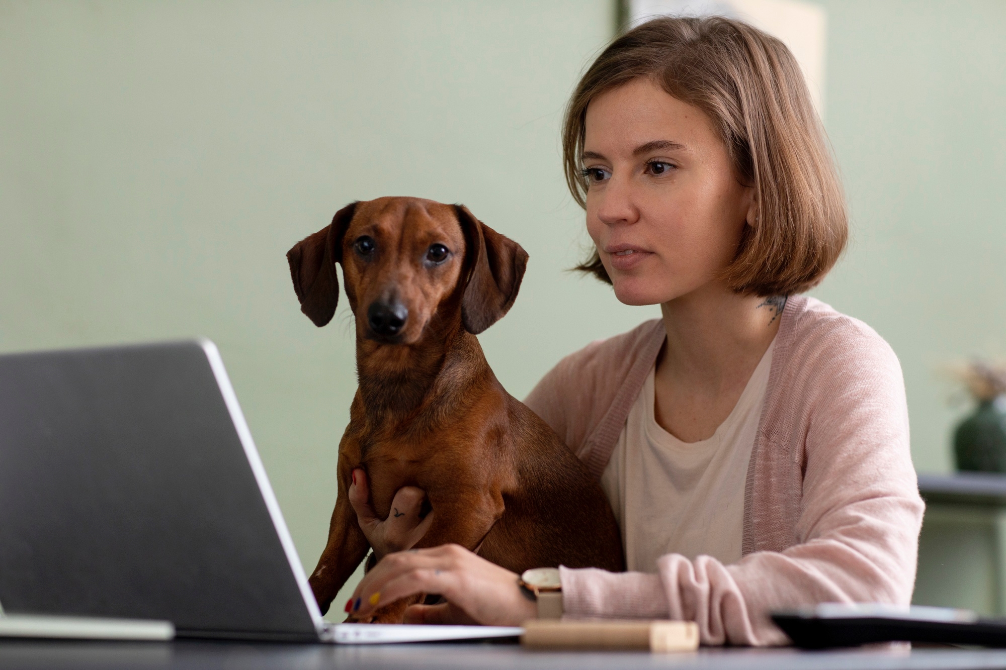 A woman sits at a desk using a laptop with a brown dachshund on her lap.